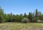 53 County Road 1041 photo 39 53 County Road 1041 photo 39
