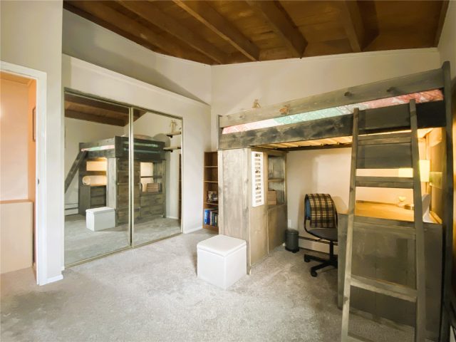 2200 Lodgepole Circle 301 photo 11