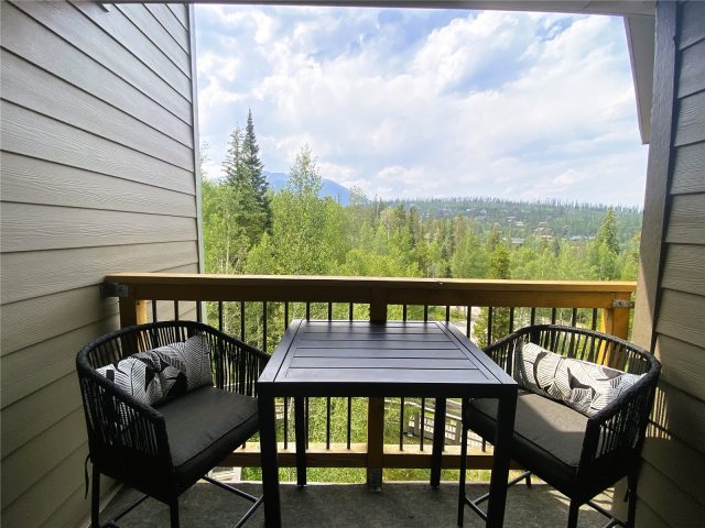 2200 Lodgepole Circle 301 photo 18
