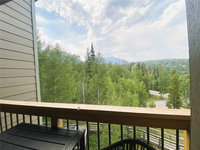 2200 Lodgepole Circle 301 photo 19