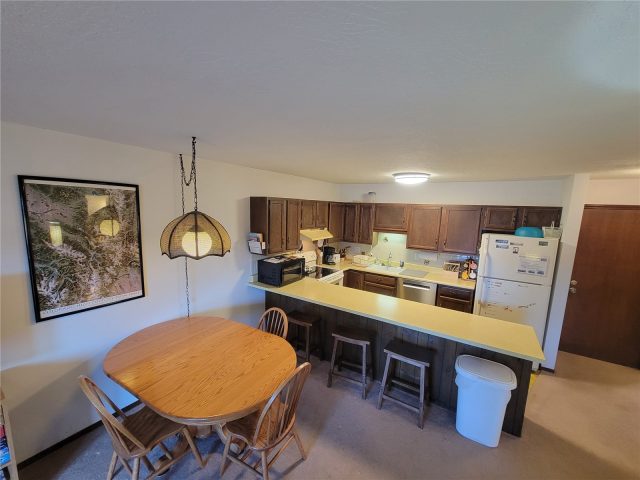Condo in Dillon Valley East Condo, Dillon, CO (MLS S1070343)