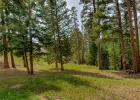 1001 Grandview Drive 11 photo 26