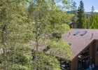 214 Wellington Road photo 4