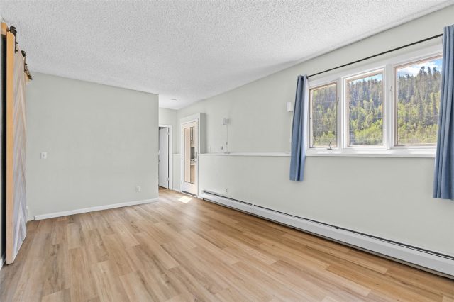 1054 Straight Creek Drive photo 27