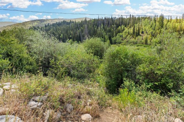 1054 Straight Creek Drive photo 39
