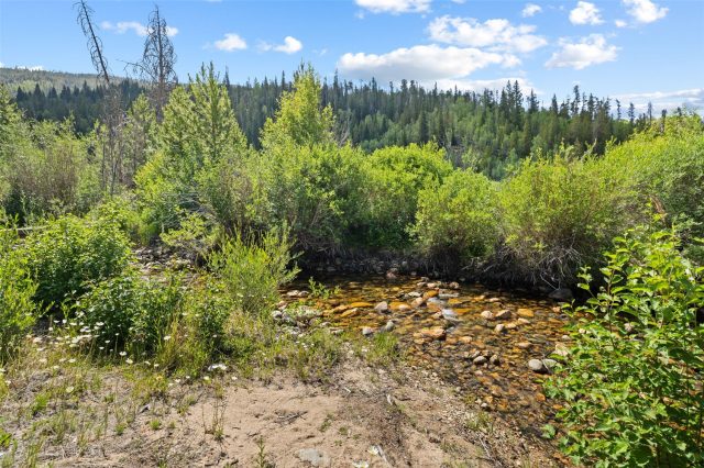 1054 Straight Creek Drive photo 5