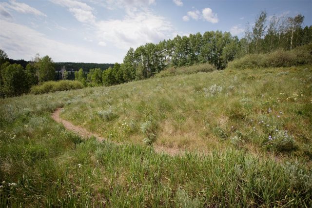 2411 Ryan Gulch Court 2411 photo 31