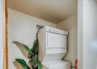365 Salt Lick Circle 365 photo 24 365 Salt Lick Circle 365 photo 24