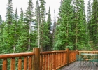 36 Hamilton Lane photo 20