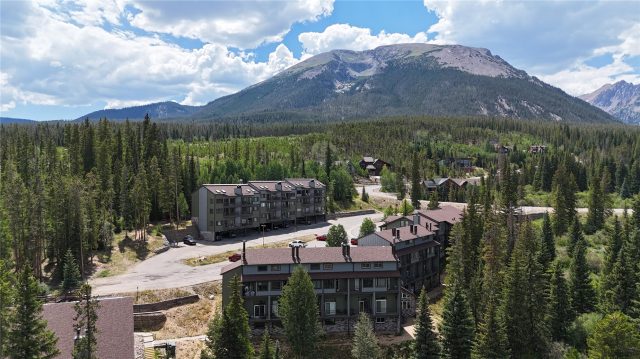 Condo in Buffalo Ridge Condo, Silverthorne, CO (MLS S1070444)