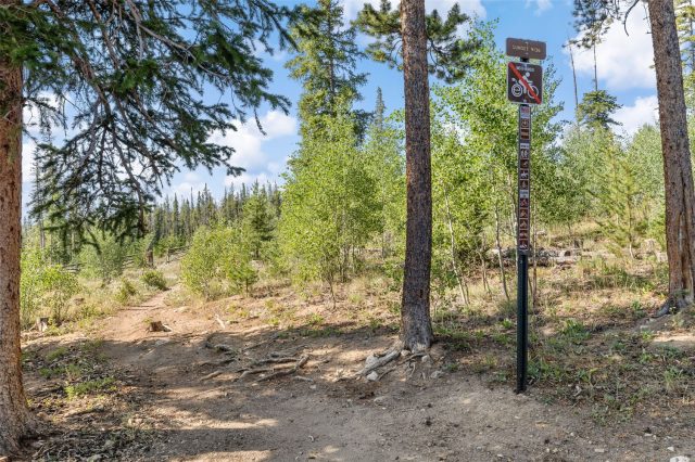 10000 Ryan Gulch Road G106 photo 32