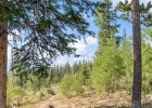 10000 Ryan Gulch Road G106 photo 32 10000 Ryan Gulch Road G106 photo 32