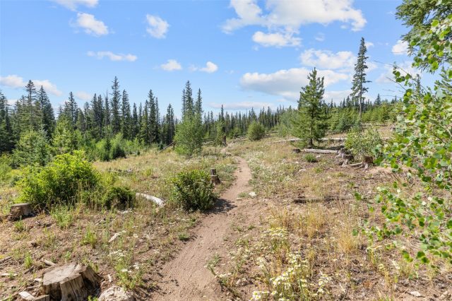 10000 Ryan Gulch Road G106 photo 33
