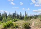 10000 Ryan Gulch Road G106 photo 33 10000 Ryan Gulch Road G106 photo 33