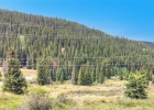 67 Quandary Road photo 14