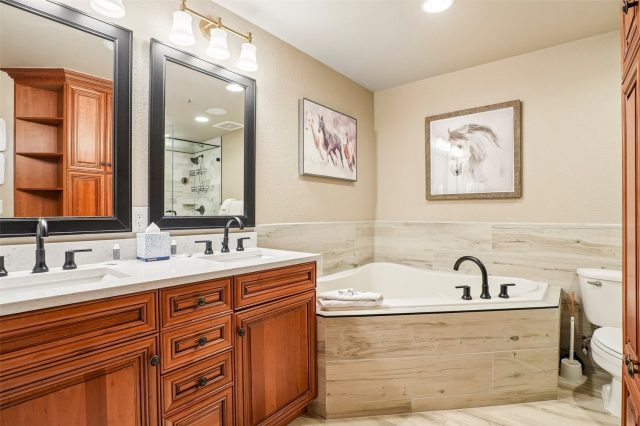 224 Trailhead Drive 3081 photo 23