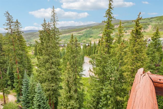 224 Trailhead Drive 3081 photo 44