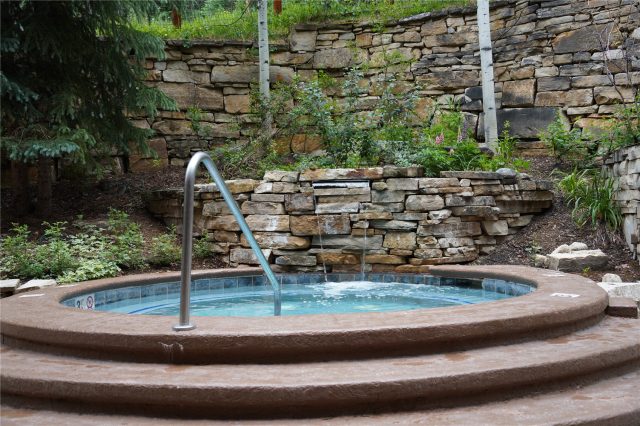 224 Trailhead Drive 3081 photo 48