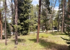 152 Tomahawk Lane photo 10