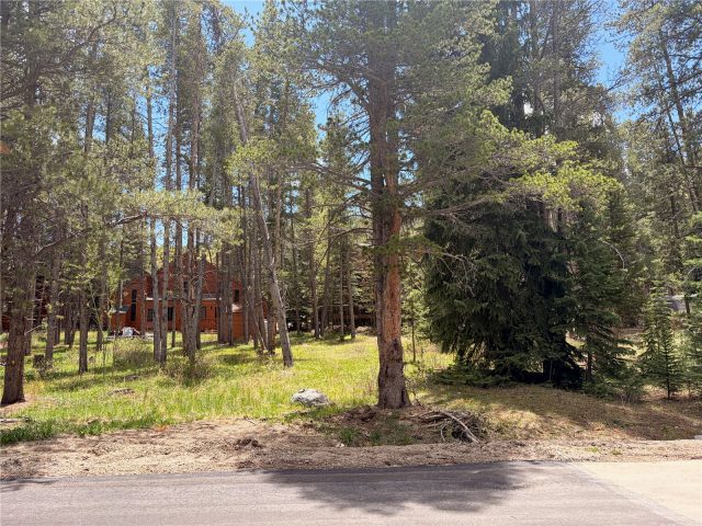 152 Tomahawk Lane photo 12