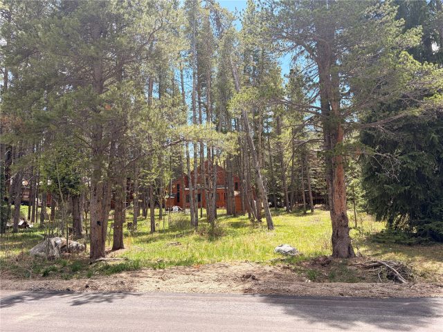 152 Tomahawk Lane photo 13