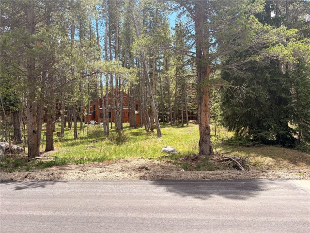 152 Tomahawk Lane photo 3