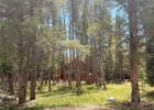 152 Tomahawk Lane photo 3