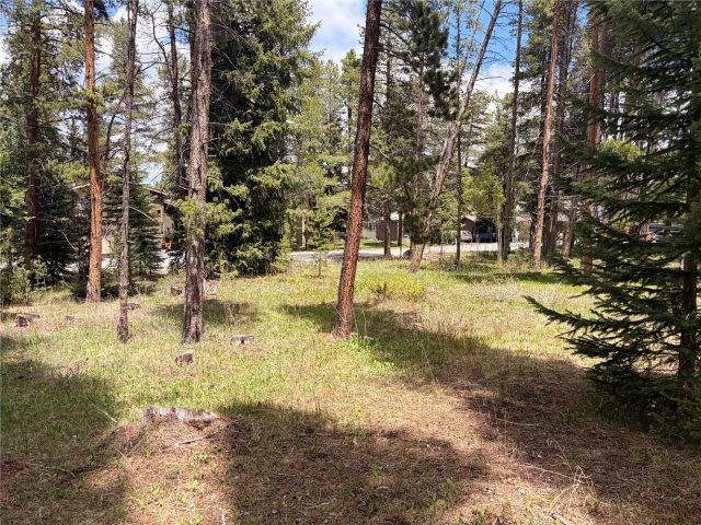 152 Tomahawk Lane photo 4