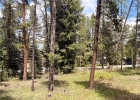 152 Tomahawk Lane photo 4