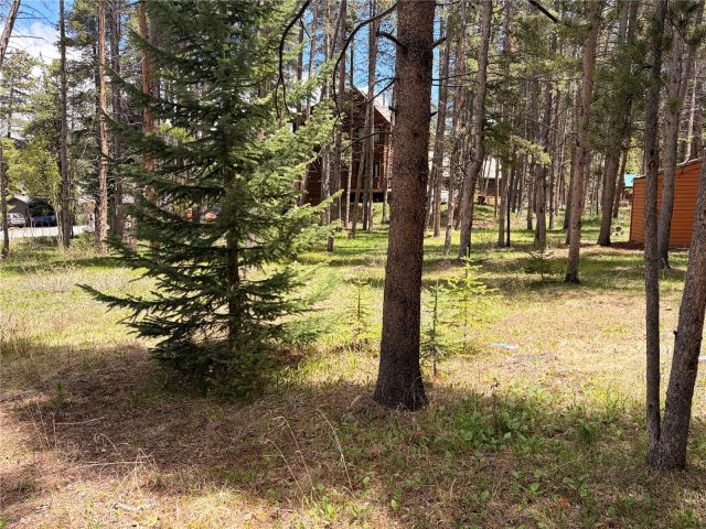 152 Tomahawk Lane photo 5