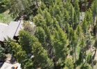 152 Tomahawk Lane photo 8