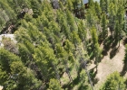 172 Tomahawk Lane photo 10