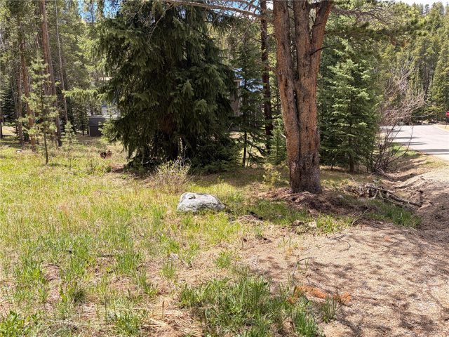 172 Tomahawk Lane photo 15