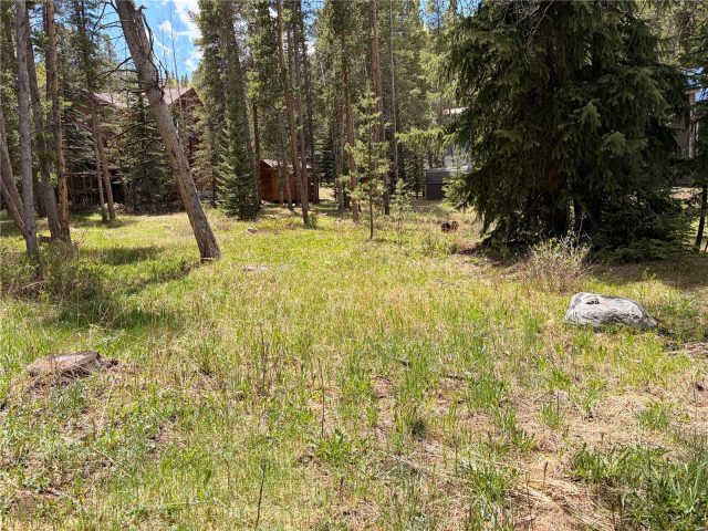 172 Tomahawk Lane photo 6