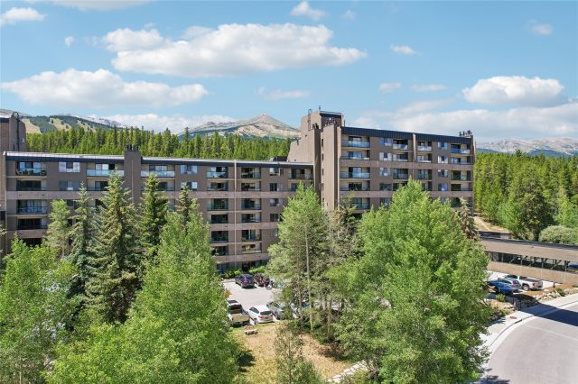Condo in Beaver Run Condo, Breckenridge, CO (MLS S1070551)