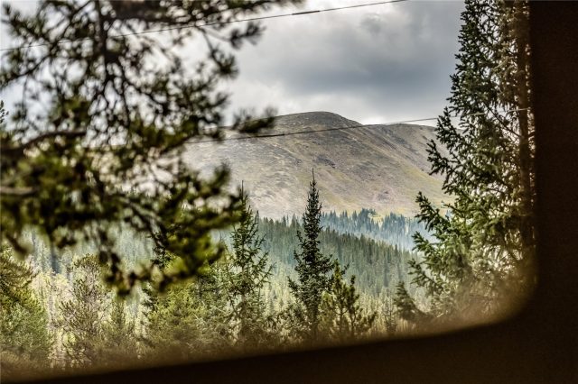 17 Blue Grouse Trail photo 33