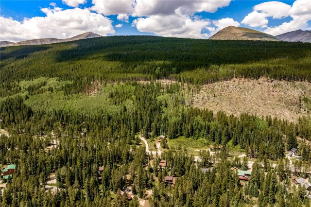 17 Blue Grouse Trail photo 40