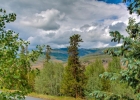 1817 Stellar Drive 1817 photo 15