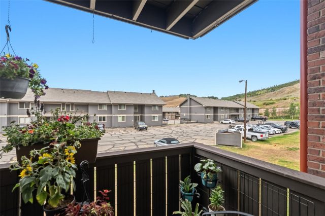 1033 Straight Creek Drive 205 photo 17