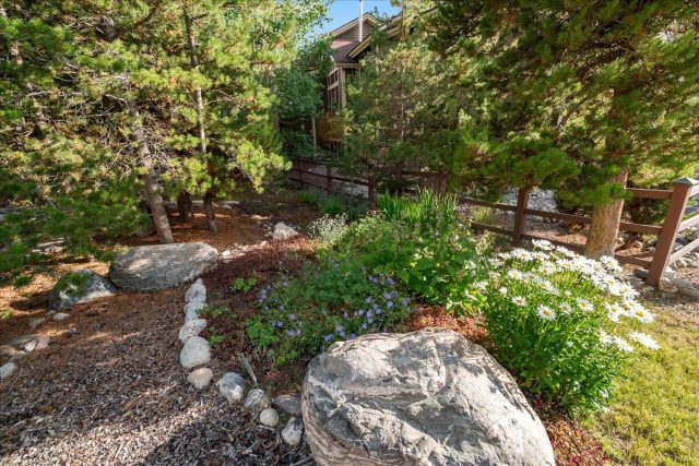 215 Pitkin Street B photo 46