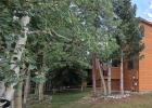 600 S 5th Avenue photo 33