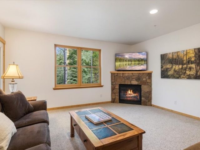 337 Streamside Lane 103 photo 4