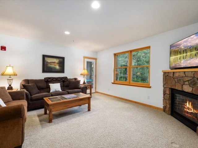 337 Streamside Lane 103 photo 6