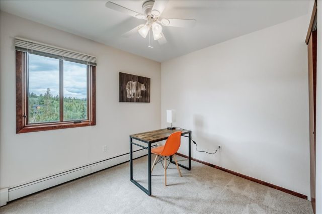 3710 Ryan Gulch Road 375 photo 17