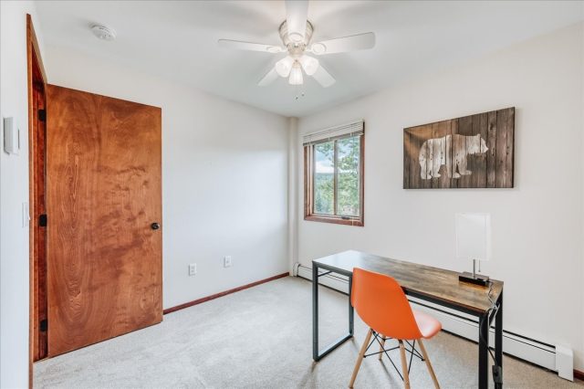 3710 Ryan Gulch Road 375 photo 18