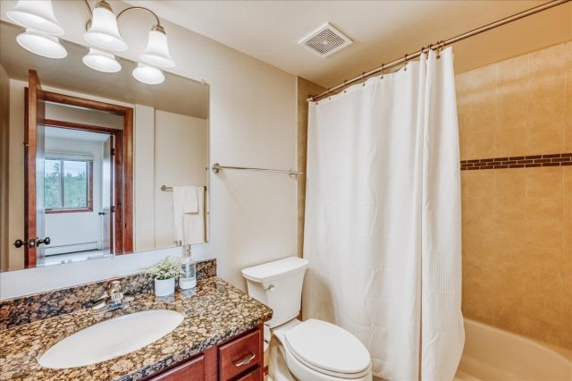 3710 Ryan Gulch Road 375 photo 19