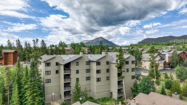 Condo in Snowbird, Silverthorne, CO (MLS S1070764)