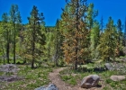 3710 Ryan Gulch Road 375 photo 40