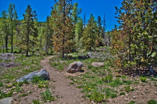 3710 Ryan Gulch Road 375 photo 43