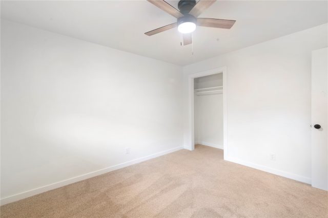 519 Teller Street 1 photo 11